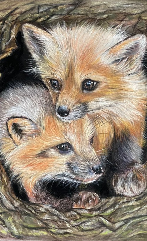 Fox cubs in pastels by Maxine Taylor