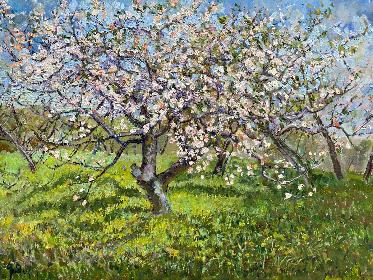 Blossoming Apple Tree in My Garden by Zurab Sharvadze