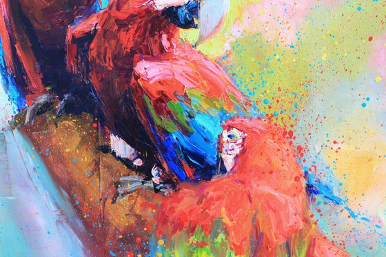 Red parrots"