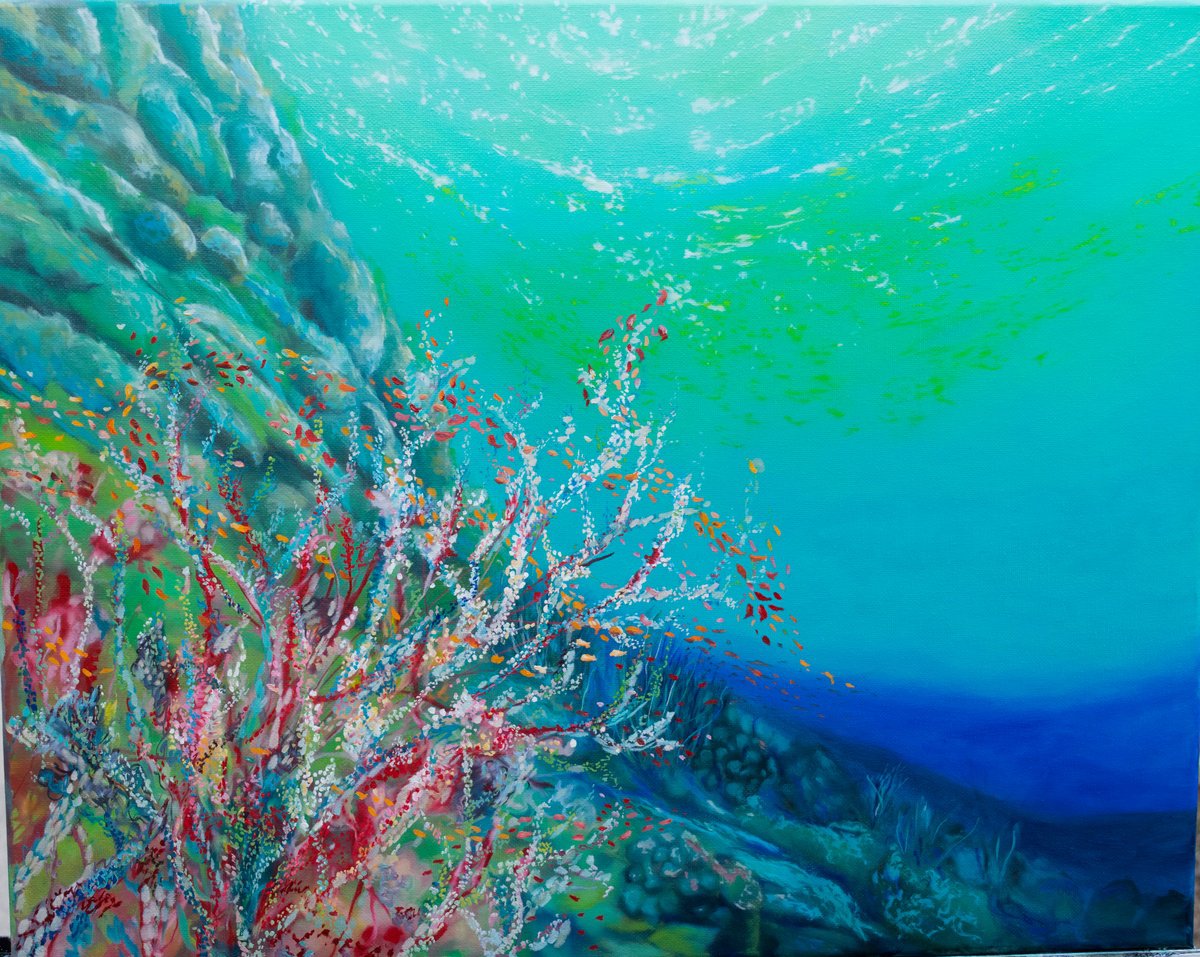 Underwater Coral Reef by Florida Abstracts & Seascapes
