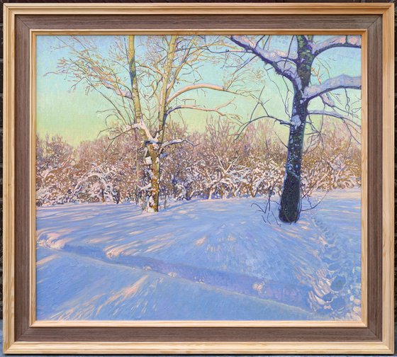 Poplars in February. Tsaritsyno