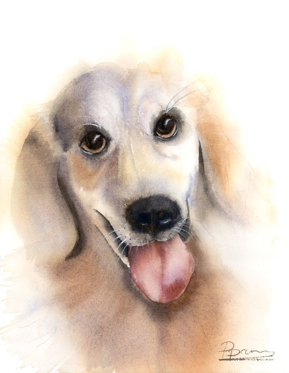 DOG Portrait by Olga Shefranov (Tchefranova)