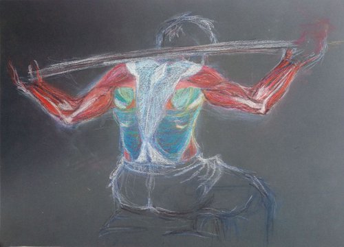 back muscules by Sara Radosavljevic