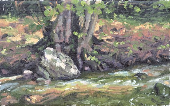 Rock at the river's edge