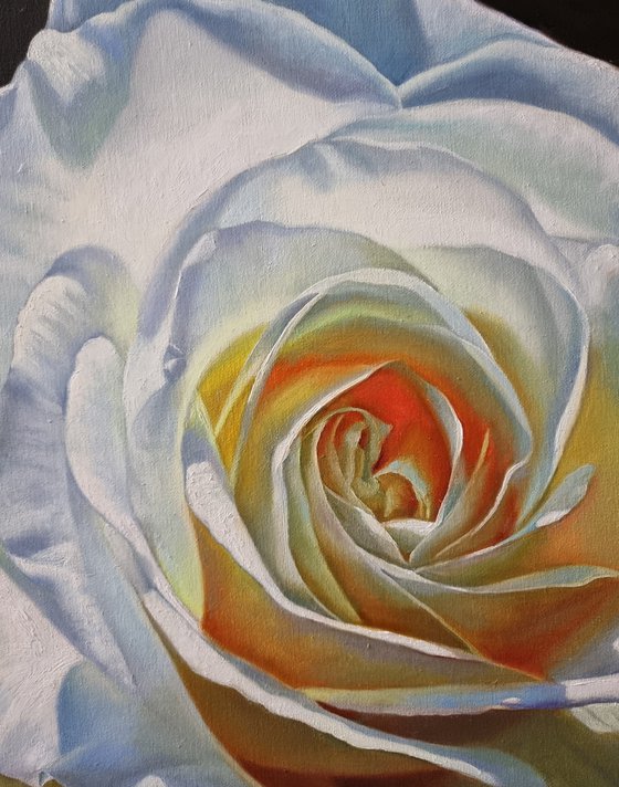 "Glowing."  rose flower  liGHt original painting  GIFT (2021)