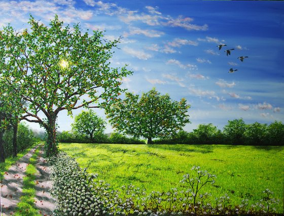 Summer Morning