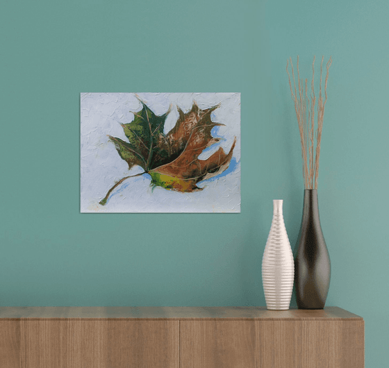 Autumn, maple leaf.