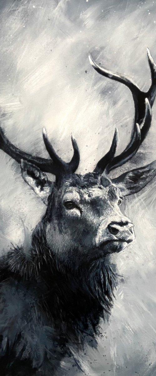 Blue Stag, original acrylic painting by Paul Hardern