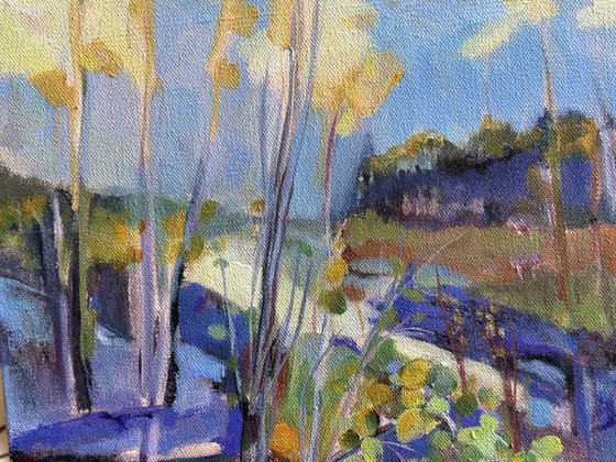 Nature’s Kaleidoscope