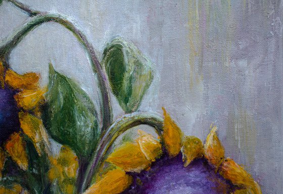 Dreams of Sunflowers