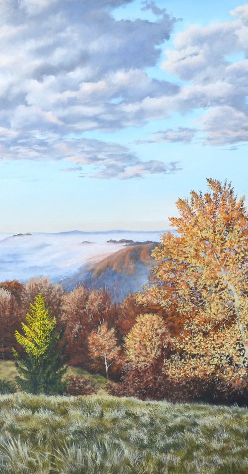 The last warm rays by Andrii Lysenko