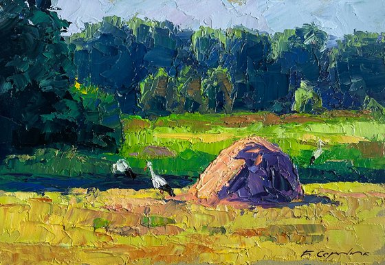 The Storks have Arrived