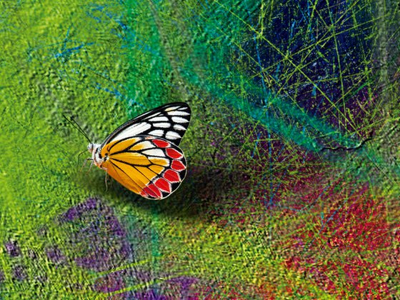 Introspecciones 2