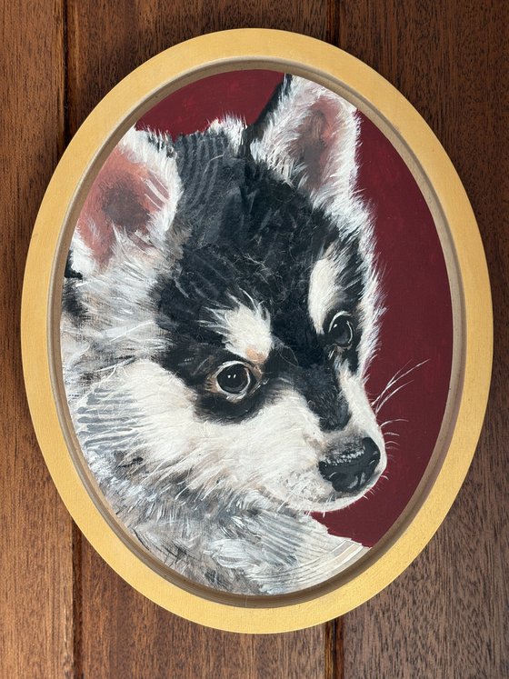 Animals - commissions and pet portraits