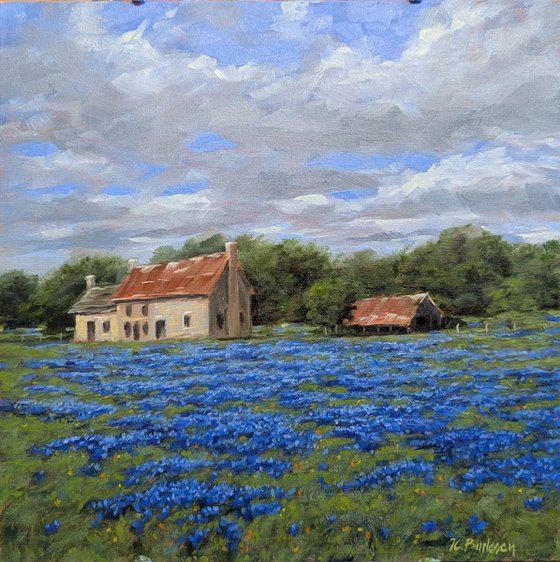 The Bluebonnet House