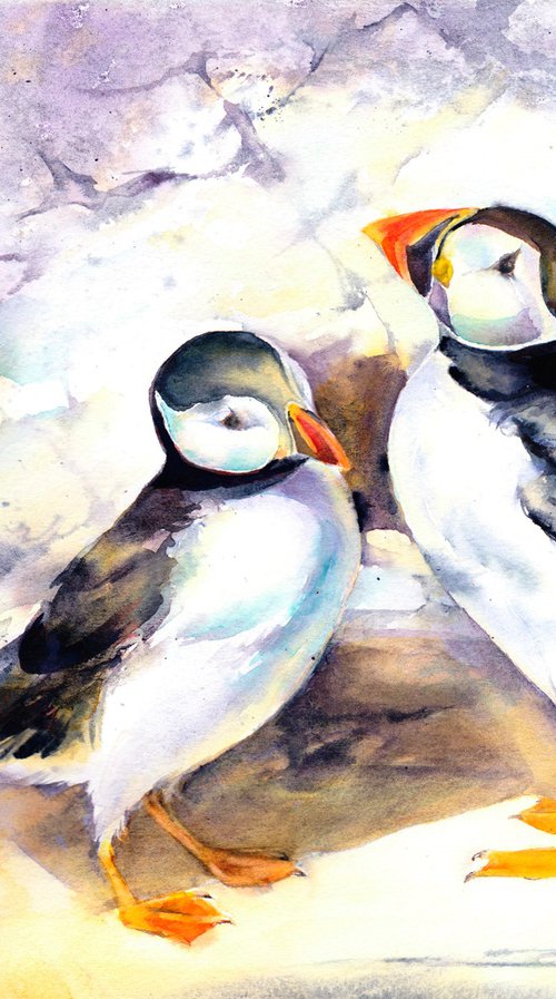 Puffins, original watercolour painting by Anjana Cawdell