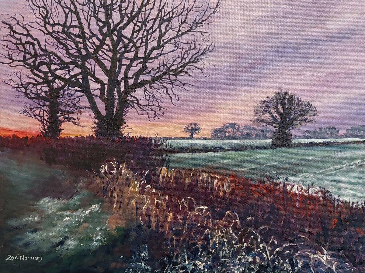 Evening Frost by Zoe Elizabeth Norman
