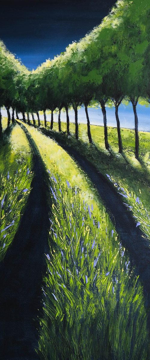 Spring Sunrise II-  Fields and Colors Series by Danijela Dan