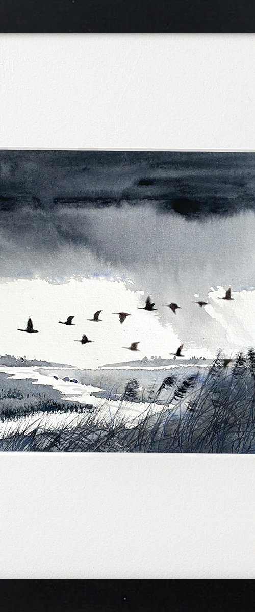 Monochrome ducks rain marshes by Teresa Tanner