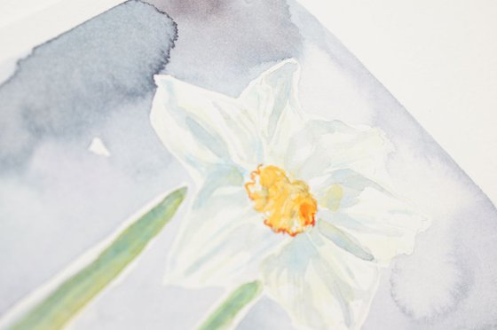 Original Watercolour Painting of a Single Narcissus Flower