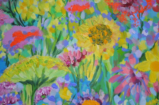 Wildflower Meadow 2026