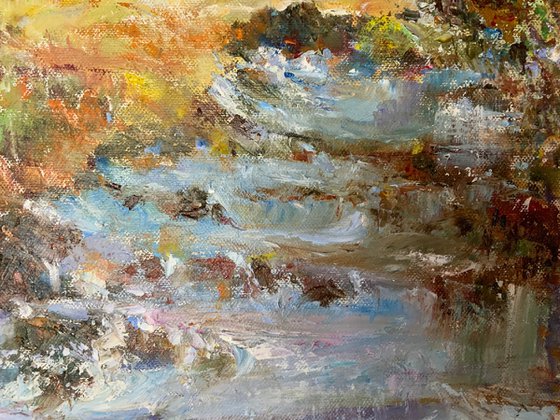 Forest Stream