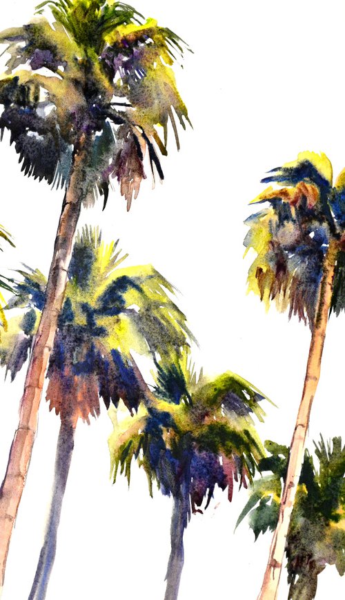 Californian Palm Trees from The Beach by Suren Nersisyan