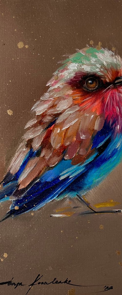 Bird of paradise. Lilac breasted roller bird. by Inga Kovalenko