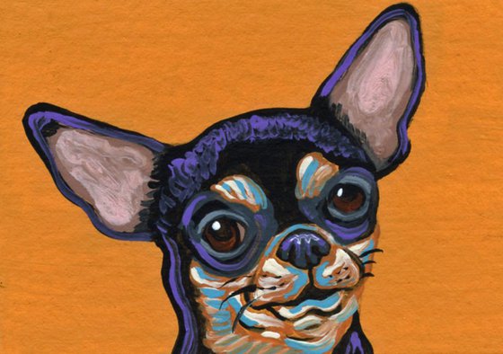 ACEO ATC Original Miniature Painting Colorful Chihuahua  Pet Dog Art-Carla Smale