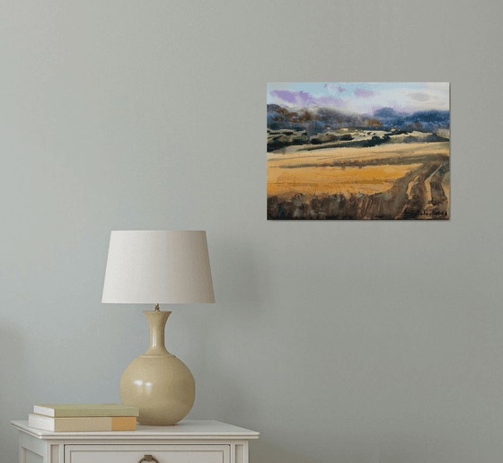Ukrainian fields