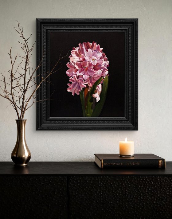 Chiaroscuro Pink Hyacinth Elegance