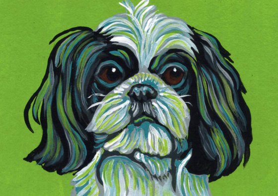 ACEO ATC Original Painting Shih Tzu Pet  Dog Art-Carla Smale
