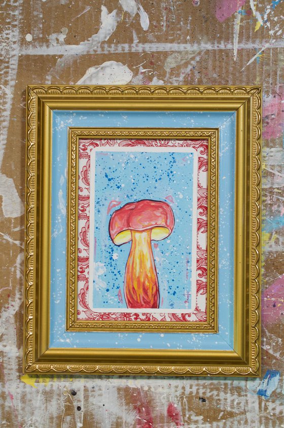 Two coloured bolete