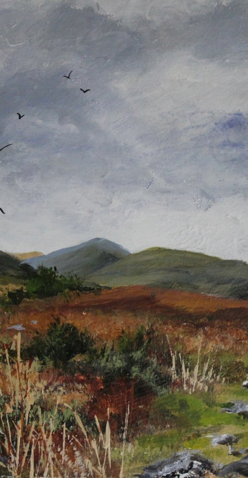 Belstone Common by Valerie Jobes