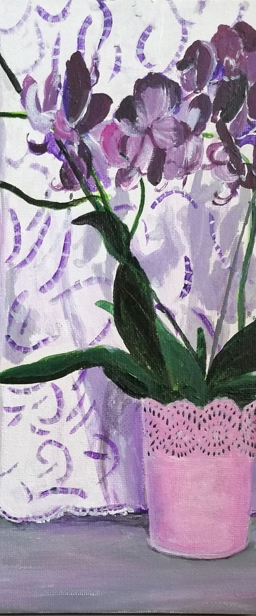 Orchidée by Martine Vinsot