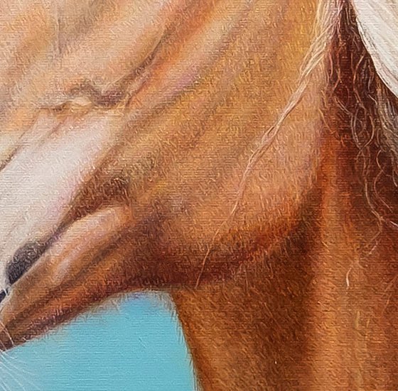 Helia, Serene Soul,Hors.