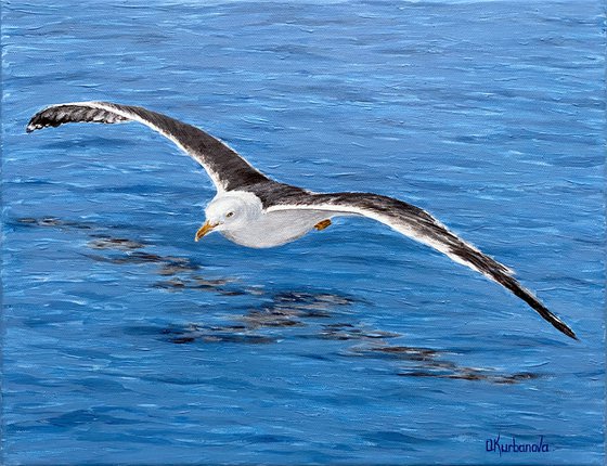 Flying seagull