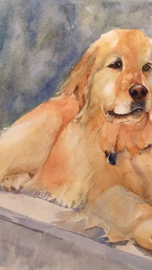 Pet Portrait commissions by Bronwen Jones