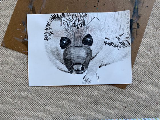 Hedgehog Big Face / Bird Art / Animals & Birds / Animal Portrait / Owl Art / Bird Art / Black and White / Original Artwork / Gifts For Her / Home Decor Wall Art 11.7"x16.5"