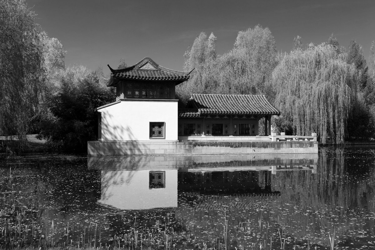 Photorealistic Photograph , Peaceful By Chiara Vignudelli, 19 X 13, Artwork For Sale On Artfinder