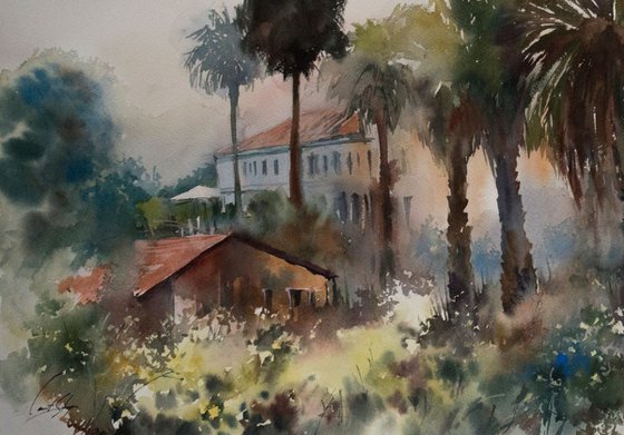 Jerusalem Landscape