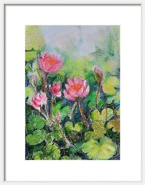 Lotus flower Pond by Asha Shenoy
