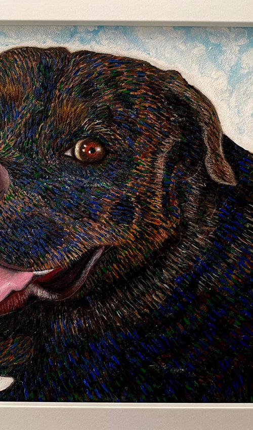 Diego by Stefano Pallara