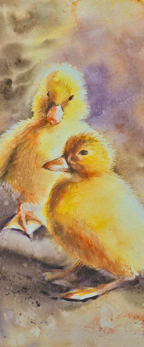 Cute ducklings by Eve Mazur