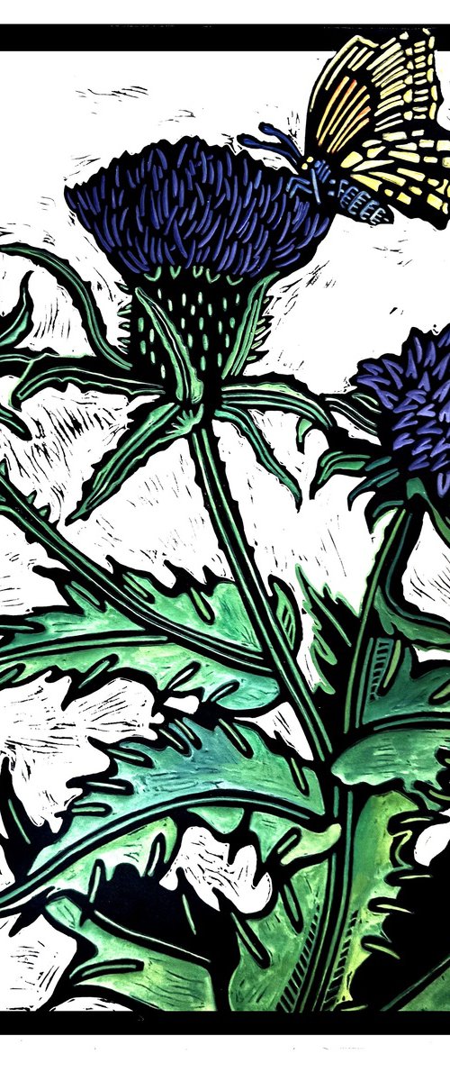 Thistle and Butterfly by Laurel Macdonald