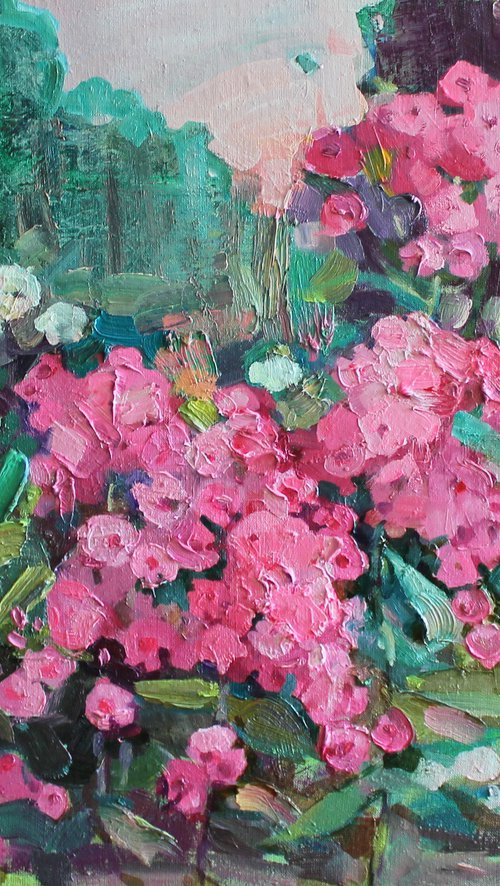 The blues of phlox by Anastasiia Grygorieva