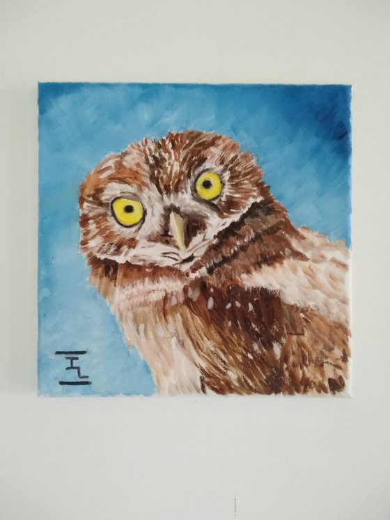 Owl