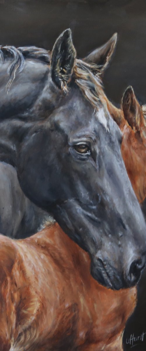 Horse (mare) and foal, equine, equestrian by Una Hurst