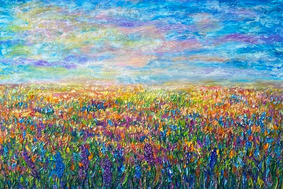 Flower Meadow Field (Reserved for Mark)
