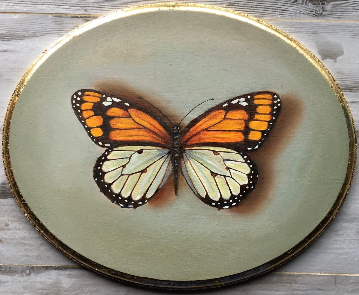 Photorealistic Still Life Oil Painting By Priyanka Singh, 10 X 8", Butterfly Iv, Original Artwork